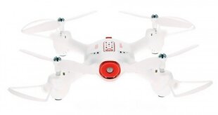 Дрон Syma X23 (2.4GHz, гироскоп, автозапуск, дальность до 25 м, 21 см), белый цена и информация | Игрушки для мальчиков | kaup24.ee