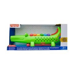 Музыкальная игрушка Fisher Price  цена и информация | Drewniana Wieża Piramida Kura Nakładanie Kolorowych Kwadratów LD-15 15276 | kaup24.ee