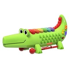 Музыкальная игрушка Fisher Price  цена и информация | Drewniana Wieża Piramida Kura Nakładanie Kolorowych Kwadratów LD-15 15276 | kaup24.ee