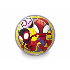 Pall Unice Toys Spidey and his Amazing Friends 230 mm цена и информация | Игрушки для песка, воды, пляжа | kaup24.ee