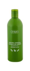 Ежедневный шампунь с оливковым маслом Ziaja 400 мл цена и информация | Шампуни | kaup24.ee