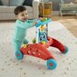 Ratastega käimisabivahend Mattel Fisher-Price Steady Speed Kahepoolne hind ja info | Imikute mänguasjad | kaup24.ee