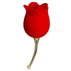 Klitorio laižymo stimuliatorius PRETTY LOVE Rose hind ja info | Vibraatorid | kaup24.ee