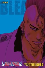 Bleach (3-in-1 Edition), Vol. 23: Includes vols. 67, 68 & 69 цена и информация | Фантастика, фэнтези | kaup24.ee