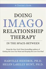 Doing Imago Relationship Therapy in the Space-Between: A Clinician's Guide цена и информация | Книги по социальным наукам | kaup24.ee