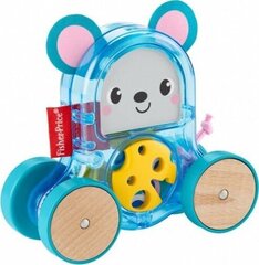 Красочные животные на колесах Fisher Price цена и информация | Drewniana Wieża Piramida Kura Nakładanie Kolorowych Kwadratów LD-15 15276 | kaup24.ee