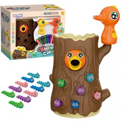 Игра Woopie - Поймай червяка цена и информация | Развивающие игрушки | kaup24.ee