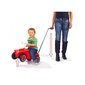 Big Bobby Car tõukeratas цена и информация | Imikute mänguasjad | kaup24.ee