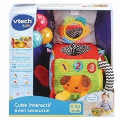 Kuup Vtech Baby 528205 (FR) цена и информация | Игрушки для малышей | kaup24.ee