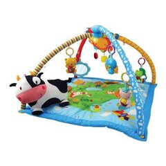 Mänguväljak Vtech Baby Lumi loomad (80 x 80 cm) цена и информация | Игрушки для малышей | kaup24.ee