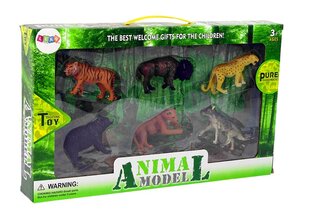 Džungliloomade figuuride komplekt hind ja info | Poiste mänguasjad | kaup24.ee