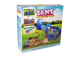 Игровая палатка с туннелем и мячами цена и информация | Детские игровые домики | kaup24.ee