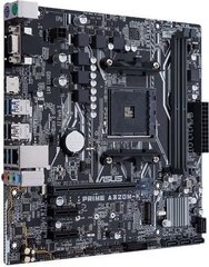 ASUS PRIME A320M-K hind ja info | Emaplaadid | kaup24.ee