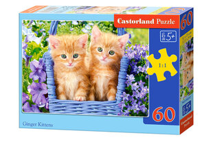 Castorland Ginger Kittens Puzzle, 60 tükki hind ja info | Pusled | kaup24.ee