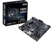 ASUS PRIME A320M-E hind ja info | Emaplaadid | kaup24.ee