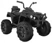 Quad ATV, must hind ja info | Laste elektriautod | kaup24.ee