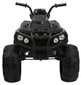 Quad ATV, must hind ja info | Laste elektriautod | kaup24.ee