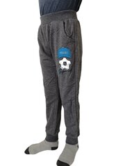 Спортивные штаны для мальчиков цена и информация | Штаны для мальчика Nini | kaup24.ee