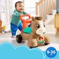 Fisher-Price'i tõukesõit ponil GWM20 цена и информация | Imikute mänguasjad | kaup24.ee