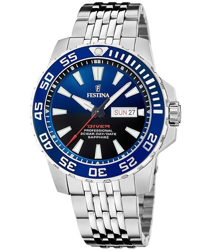 Meeste käekell Festina Diver Professional Stainless Steel Blue цена и информация | Meeste käekellad | kaup24.ee