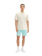 Мужские шорты Tom Tailor, бирюзовый цвет цена и информация | Мужские шорты | kaup24.ee