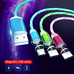 Magnetic USB-C hind ja info | Mobiiltelefonide kaablid | kaup24.ee