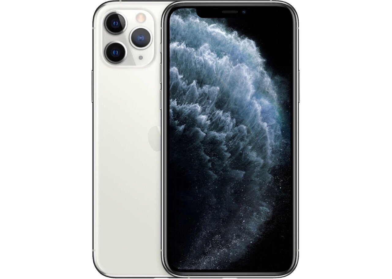 iPhone 11 Pro Max 256GB (Uuendatud, seisukord nagu uus) цена и информация | Telefonid | kaup24.ee