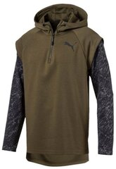 Puma Джемпер Ess + Hoody FL Big Logo Green цена и информация | Мужские толстовки | kaup24.ee