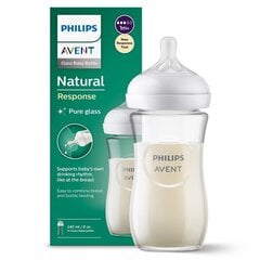 Pudel Philips Avent Natural SCY933/01, 1+ kuud, 240 ml hind ja info | Philips Avent Toitmiseks | kaup24.ee