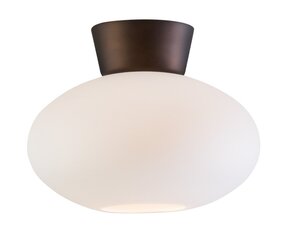 Настольная лампа Belid цена и информация | Потолочный светильник, 38 x 38 x 24 см | kaup24.ee