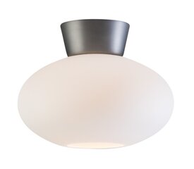 Настольная лампа Belid, металл оксид, серое/опаловое стекло 2236155389 цена и информация | Потолочные светильники | kaup24.ee