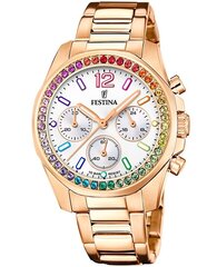 Женские часы Festina Boyfriend Rainbow Stainless Steel Silver цена и информация | Женские часы | kaup24.ee