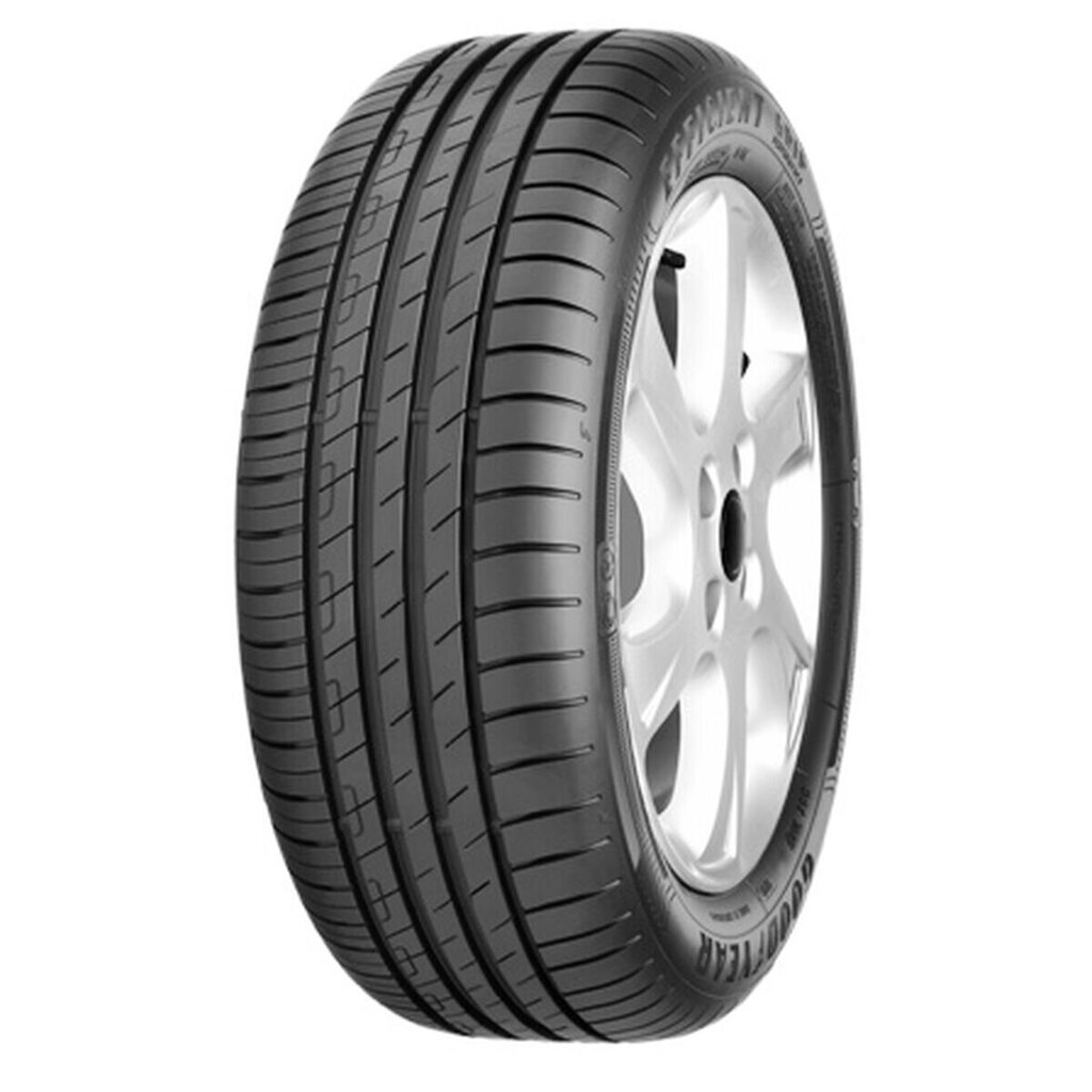 Off-road sõiduki suverehv Goodyear hind ja info | Suverehvid | kaup24.ee