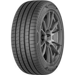 Шины для легковых автомобилей Goodyear EFFICIENTGRIP PERFORMANCE 225/55VR17 цена и информация | Летняя резина | kaup24.ee