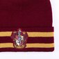 Harry Potteri Gryffindor talvekomplekt hind ja info | Karnevali kostüümid | kaup24.ee