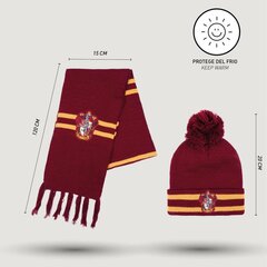 Harry Potteri Gryffindor talvekomplekt hind ja info | Karnevali kostüümid | kaup24.ee