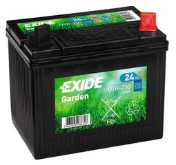 Murutraktori aku Exide Garden 12V 24Ah 197x132x186-+ цена и информация | Аккумуляторы | kaup24.ee