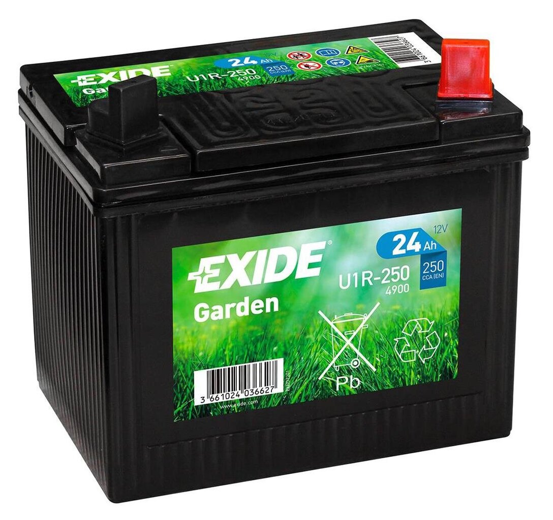 Murutraktori aku Exide Garden 12V 24Ah 197x132x186-+ цена и информация | Akud | kaup24.ee