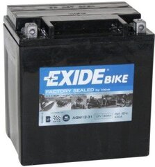 Exide motoaku 12V 30Ah AGM12-31 166x126x175-+ цена и информация | Аккумуляторы | kaup24.ee