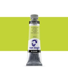 Масляная краска в тюбиках Van Gogh S1 617, 20 ml. цена и информация | Принадлежности для рисования, лепки | kaup24.ee