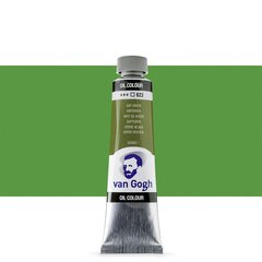 Масляная краска в тюбиках Van Gogh S1 623, 20 ml. цена и информация | Принадлежности для рисования, лепки | kaup24.ee