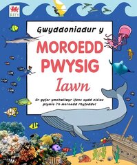 Gwyddoniadur y Moroedd Pwysig Iawn цена и информация | Книги для подростков и молодежи | kaup24.ee