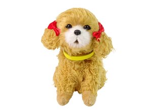Интерактивный плюшевый щенок пуделя цена и информация | Мягкие игрушки | kaup24.ee