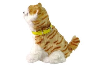 Интерактивный плюшевый кот цена и информация | Мягкие игрушки | kaup24.ee