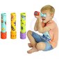 Kaleidoskoop lastele Cartoon tegelased hind ja info | Arendavad mänguasjad | kaup24.ee