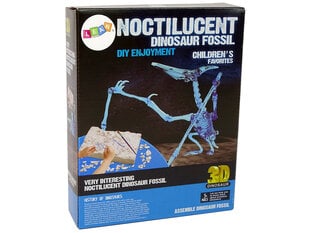 Arheoloogiliste kaevamiste komplekt, dinosauruse skelett hind ja info | Arendavad mänguasjad | kaup24.ee