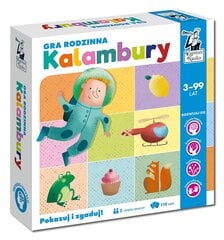 Игра в каламбур цена и информация | Настольные игры, головоломки | kaup24.ee