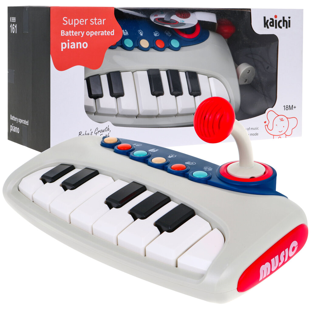 Interaktiivne klaver koos mikrofoniga цена и информация | Arendavad mänguasjad | kaup24.ee