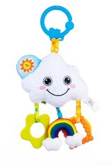 Riputatav mänguasi - Pilv hind ja info | Imikute mänguasjad | kaup24.ee