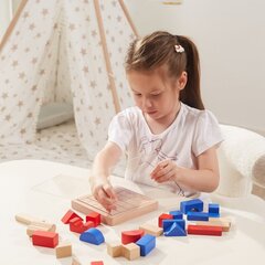 Деревянные строительные блоки Viga Toys 3D цена и информация | Конструкторы и кубики | kaup24.ee